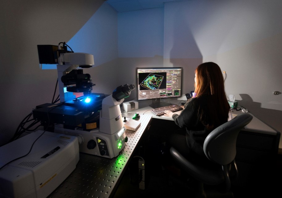 A1R Inverted Confocal Microscope system