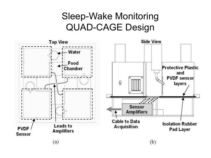 sleep-wake monitoring quad cage design