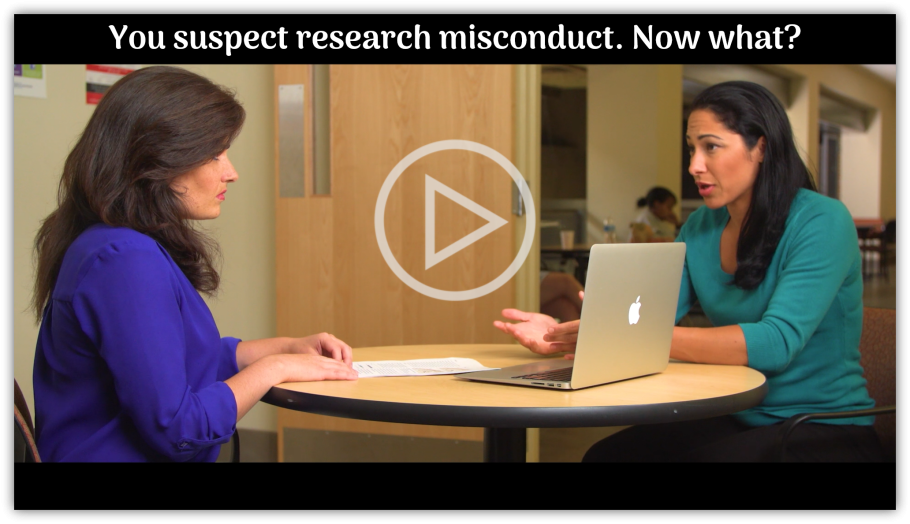 You suspect research misconduct. Now what? 